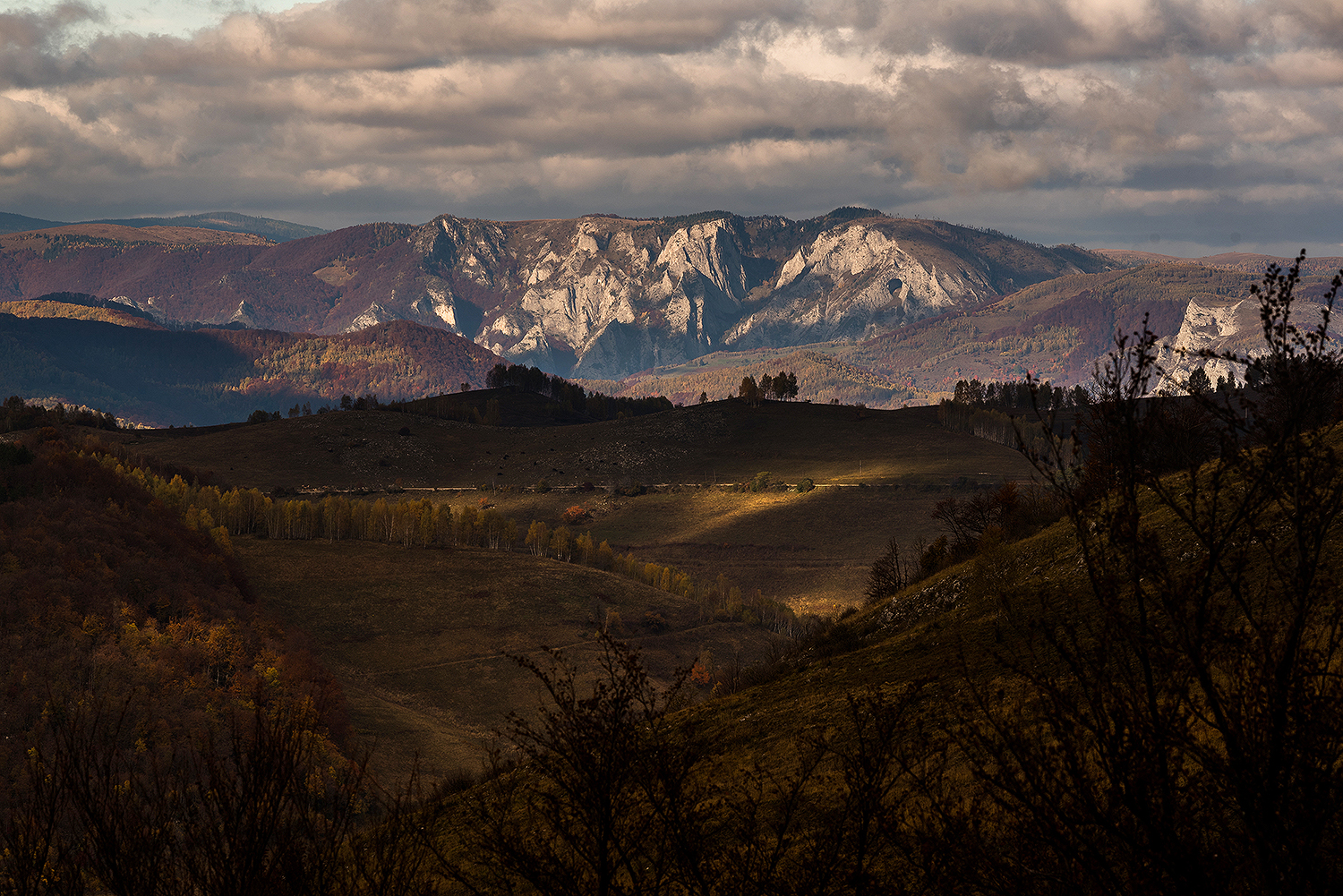  Scărița-Belioara