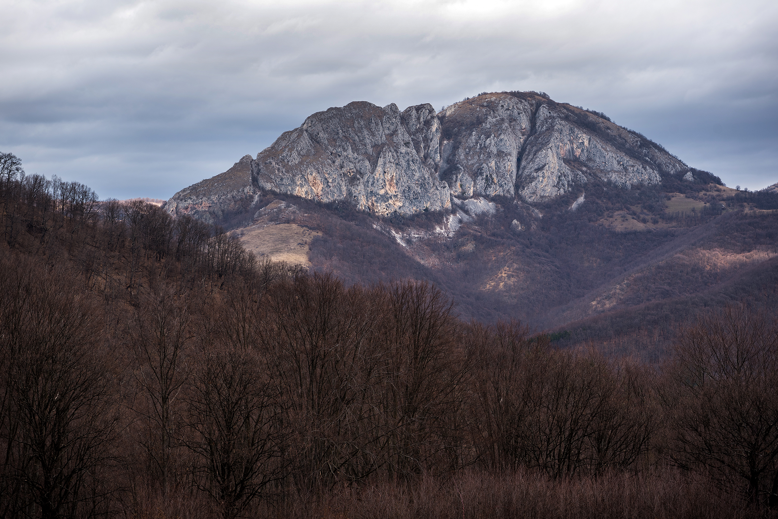 Munții Trascăului