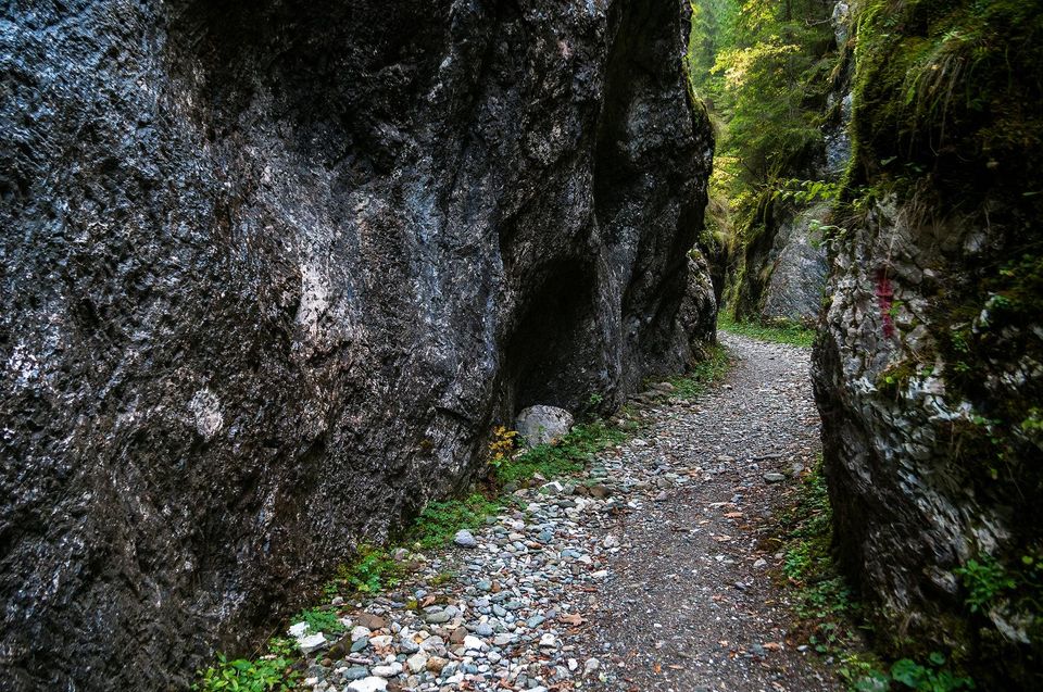  Cheile Scorota, cu portiuni inguste de 3-4 m - Daniel Morar