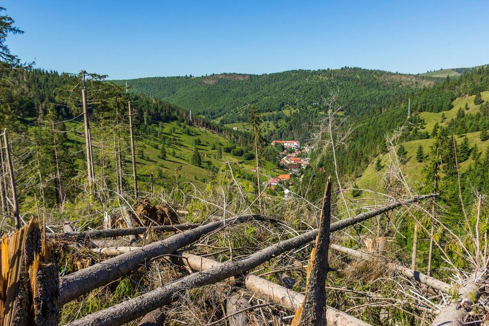 Furtuna in zona Balan - Comsa Bogdan