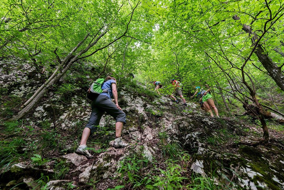  1. Urcarea abruptă prin pădure