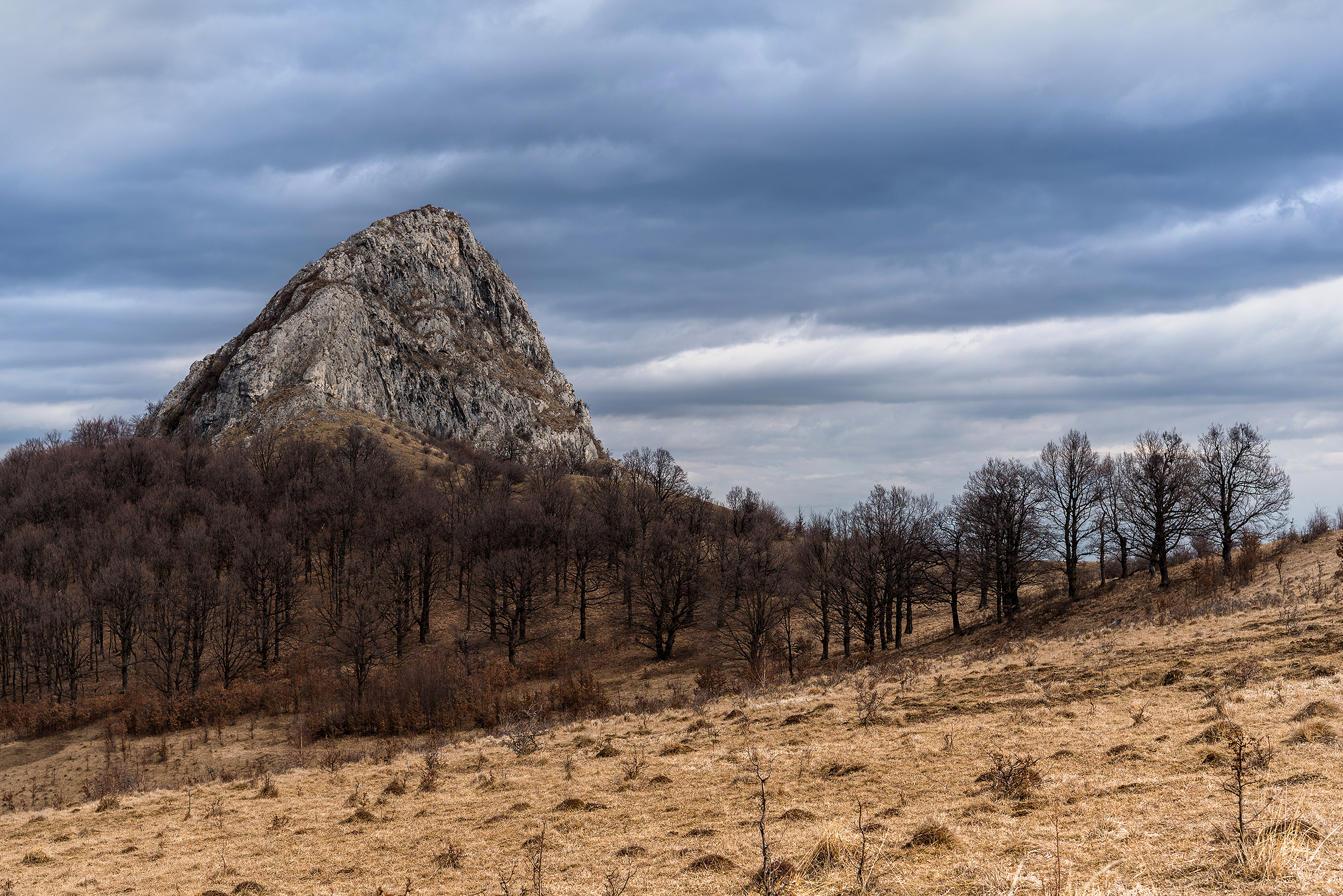 Munții Trascăului