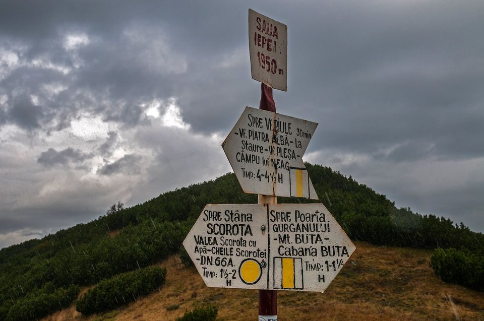   Intersectie de marcaje in Saua Iepei - Daniel Morar