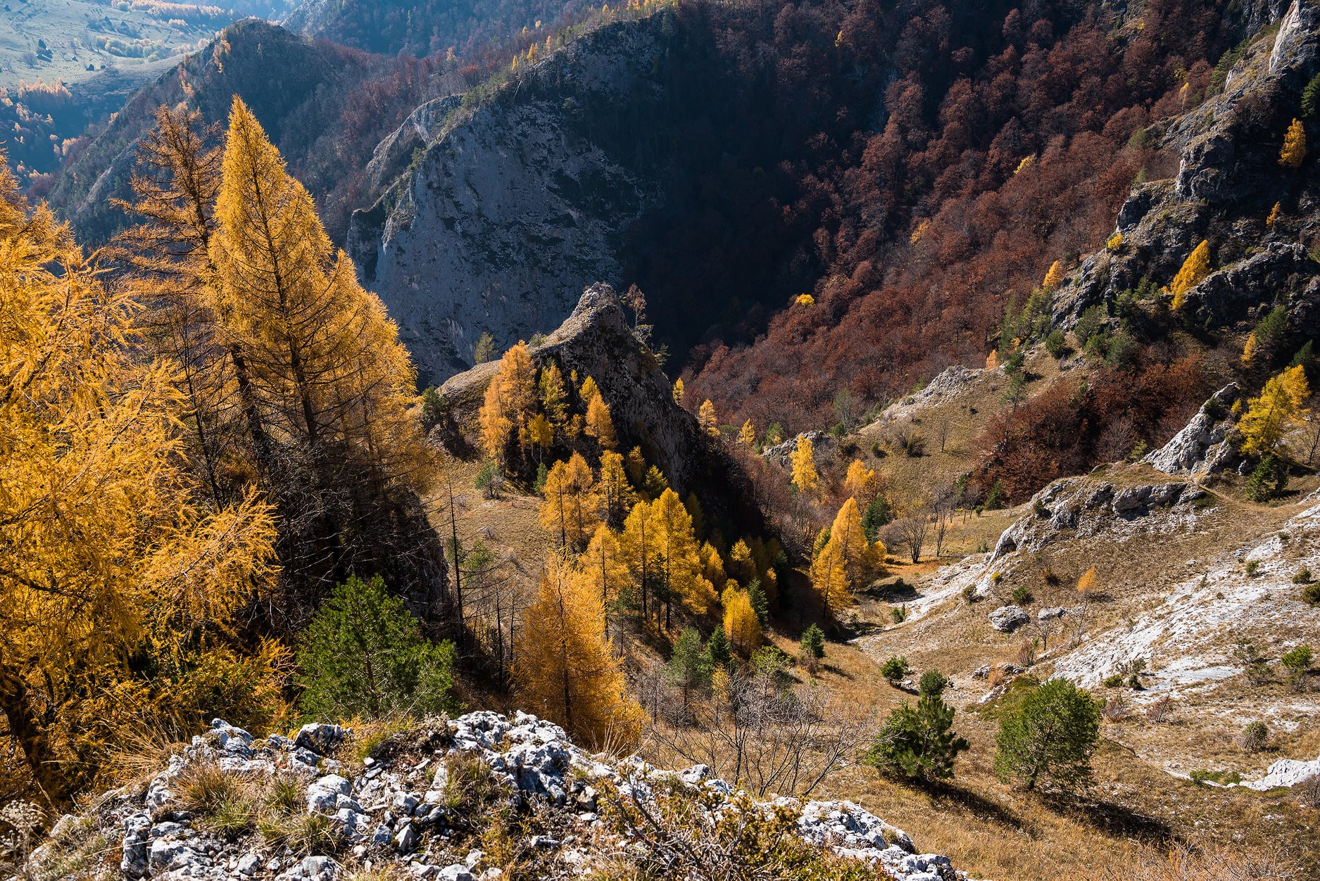  Văi prăpăstioase sub Laricet - Daniel Morar