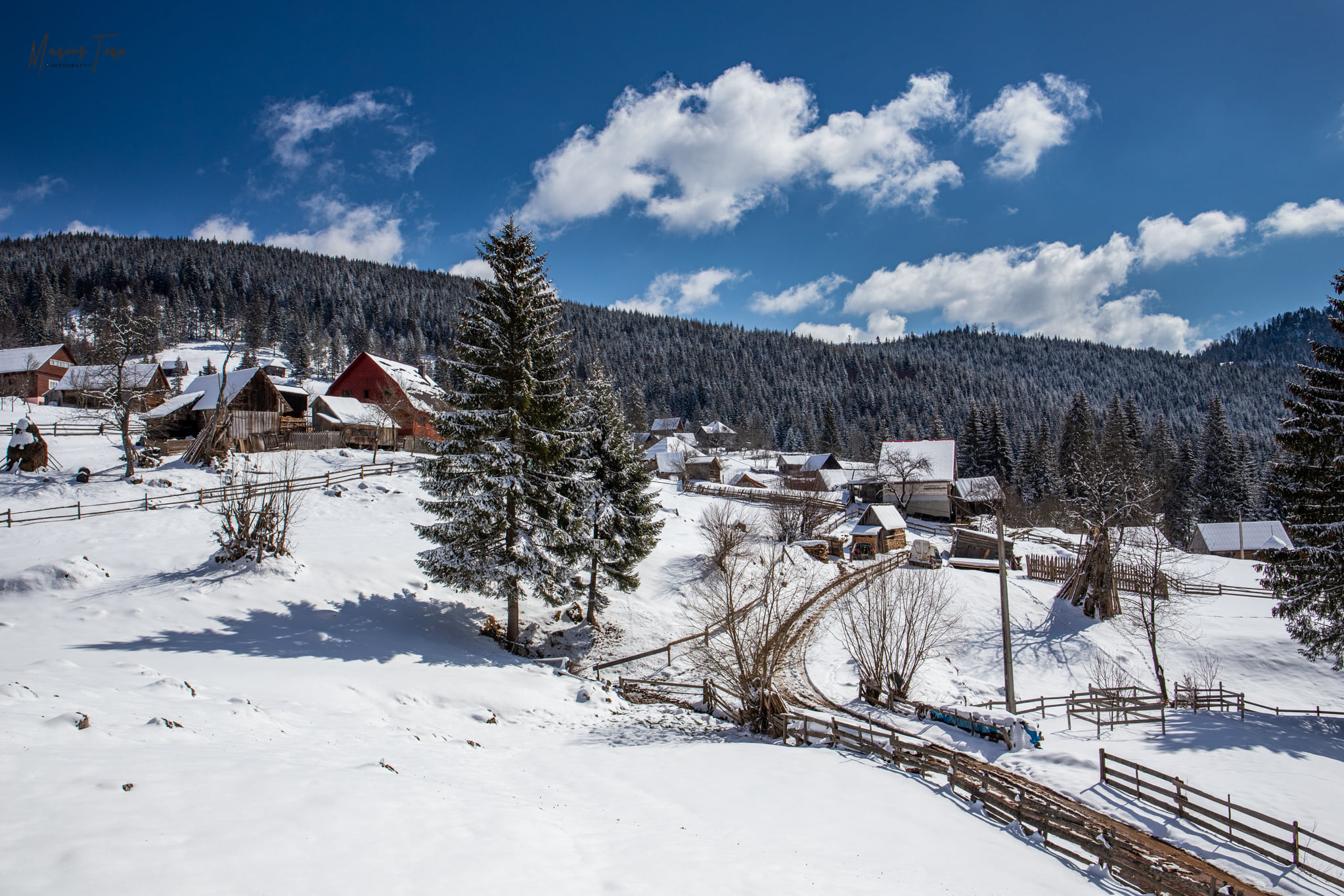 Ulița spre cătunul Casa de Piatra - Marius Turc