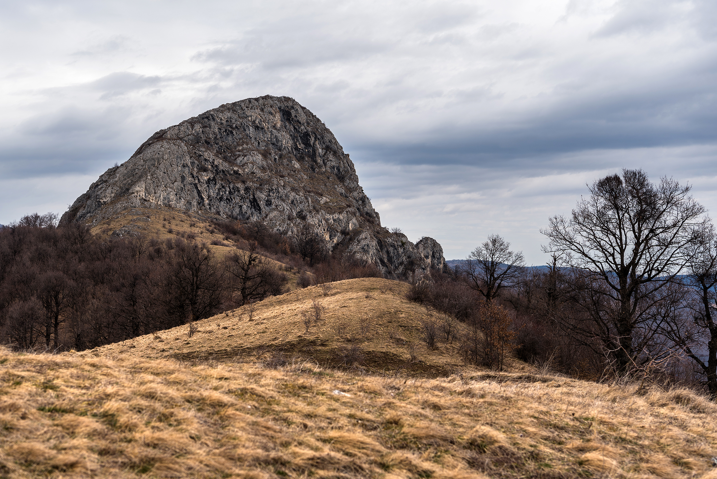 Munții Trascăului