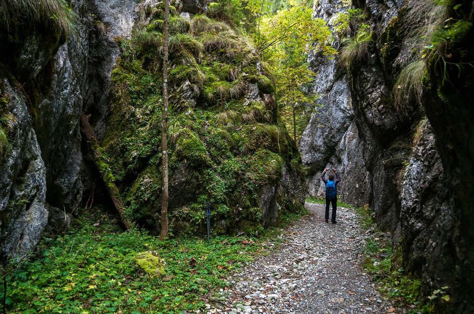  Cheile Scorota inalte de cativa zeci de m - Daniel Morar