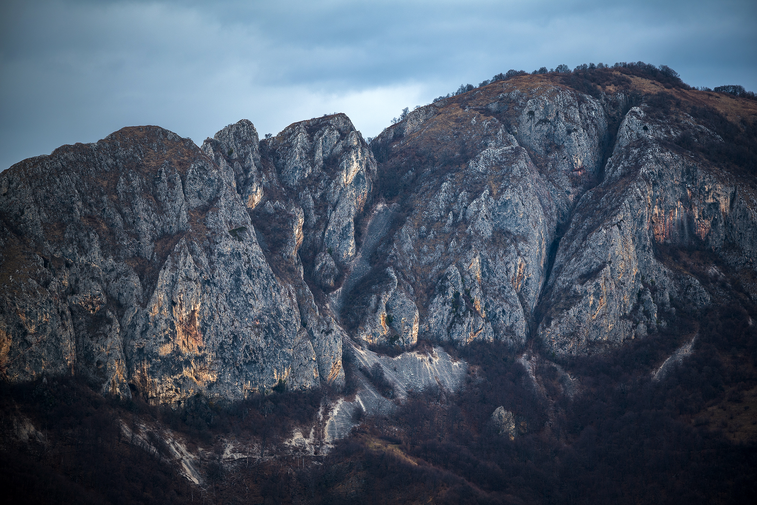 Munții Trascăului