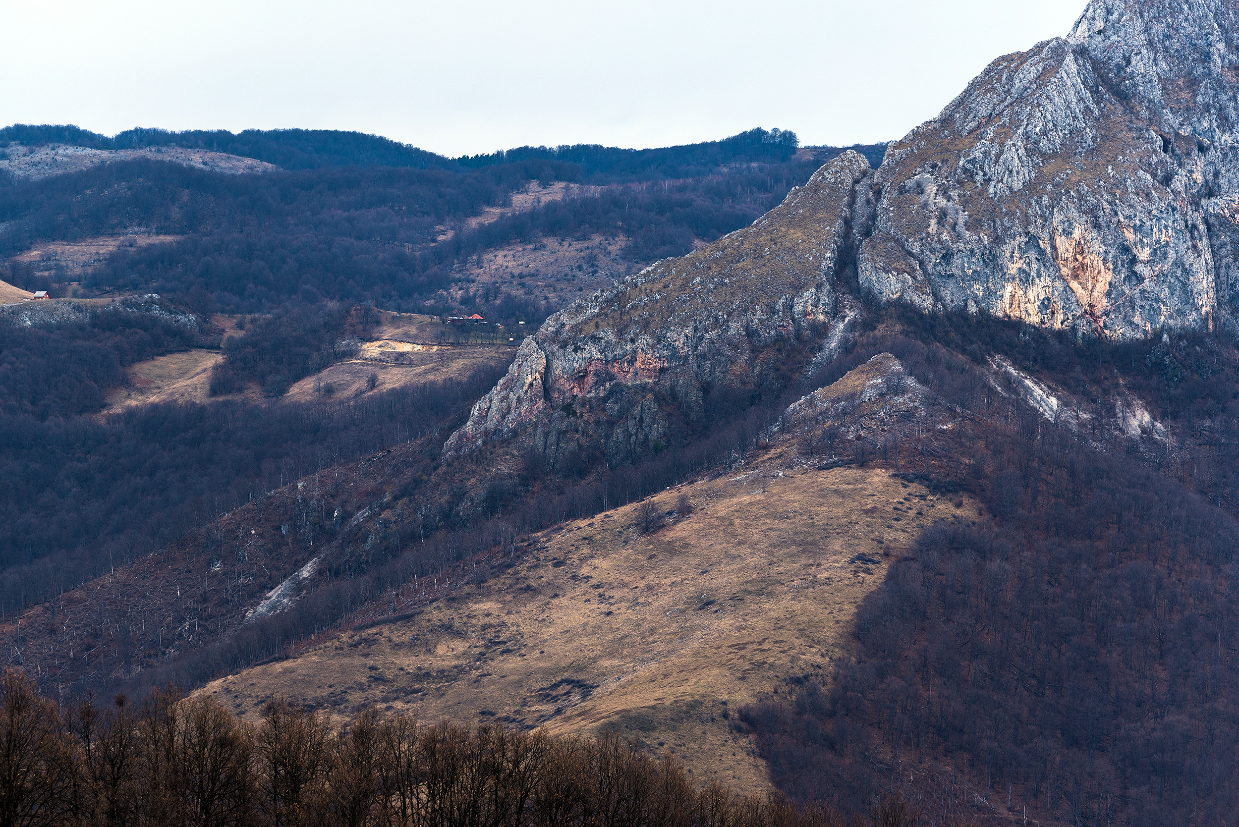 Munții Trascăului