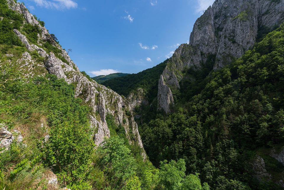  Cheile Rametului de pe Brana Caprei - Morar Daniel