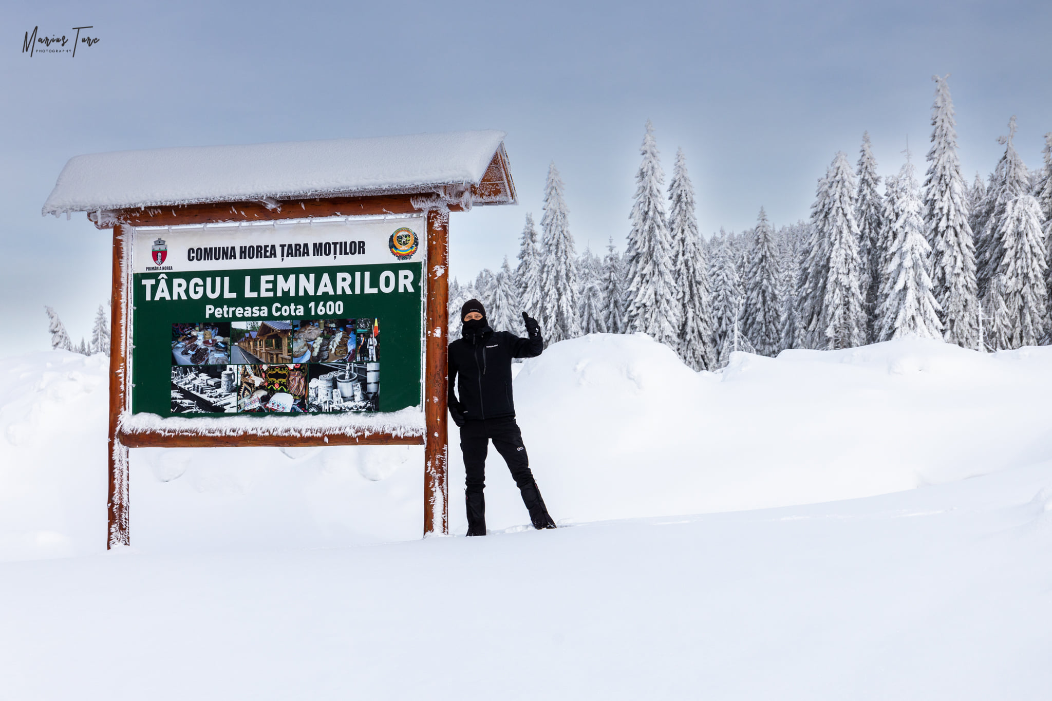 Panou Targul lemnarilor - Marius Turc