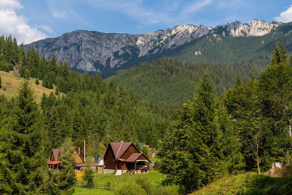 Gospodării pe valea Sep - Andrei Pahomi