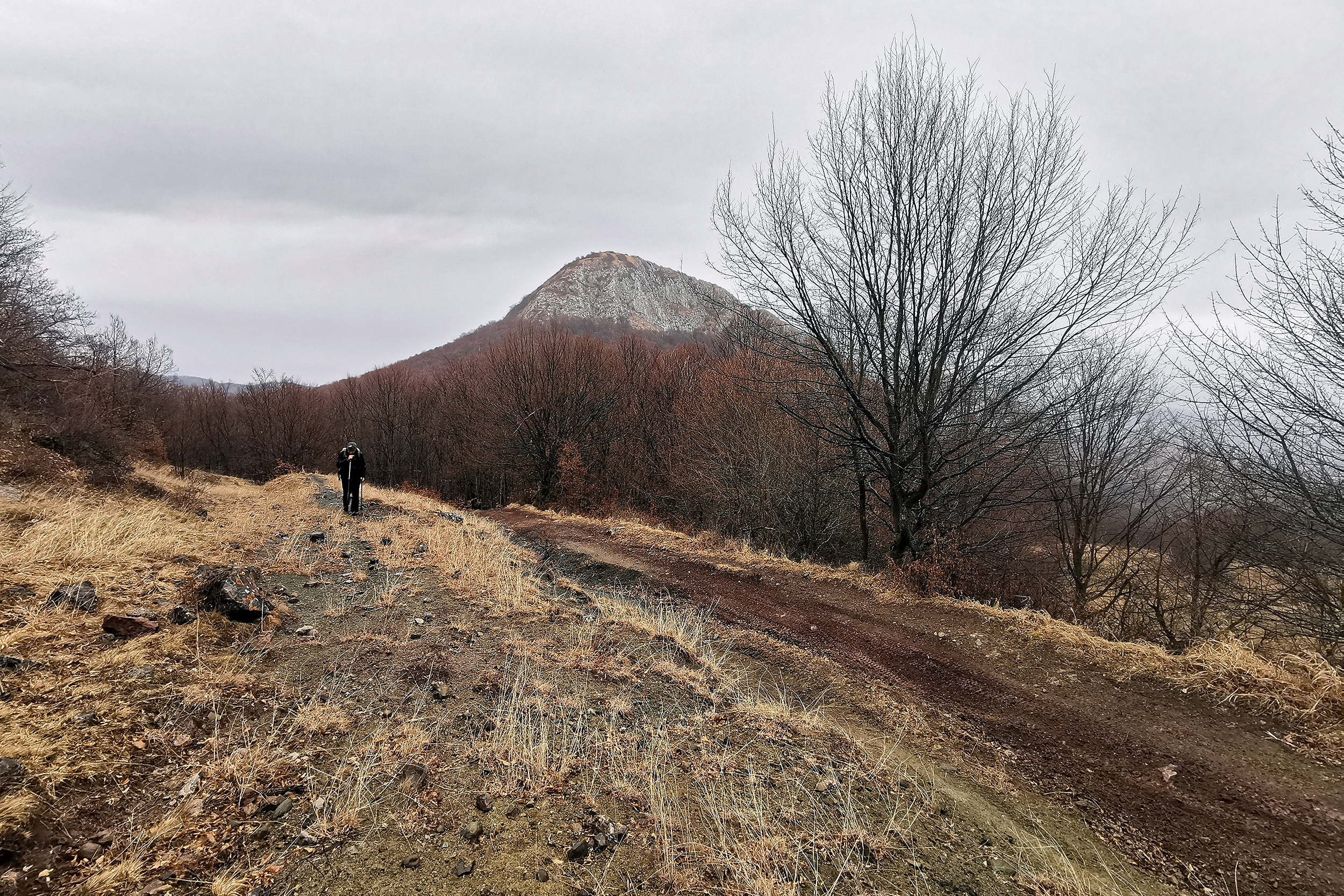 Munții Trascăului