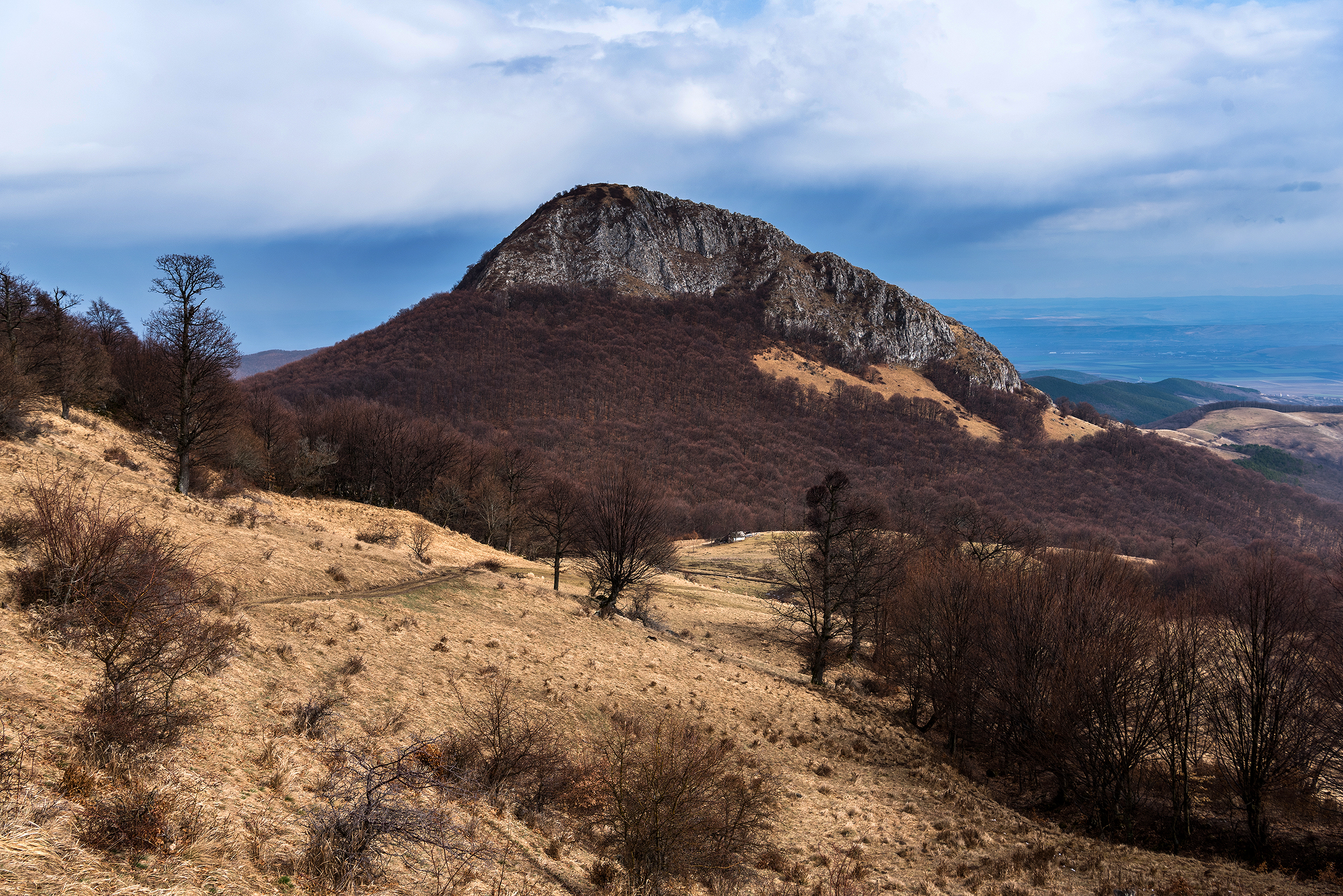 Munții Trascăului