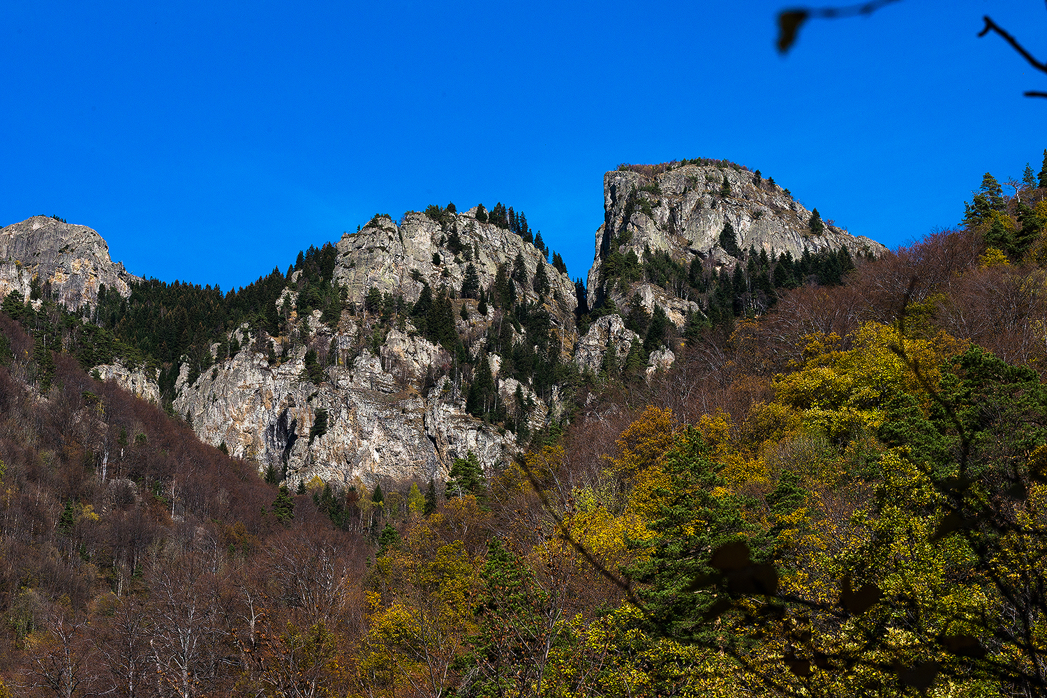  Munții Cozia