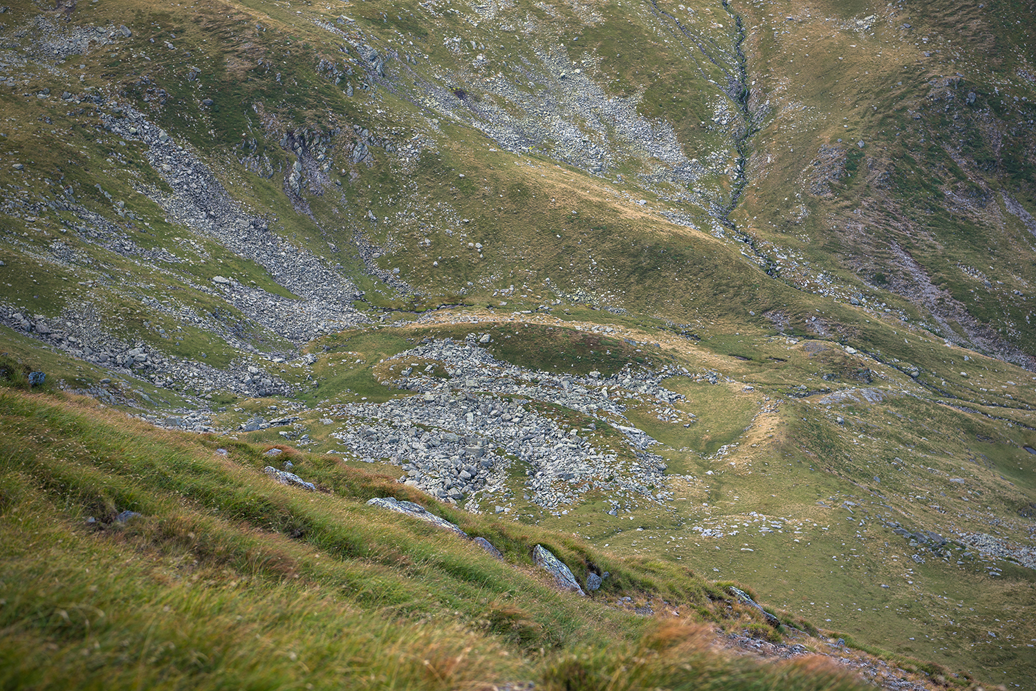 Vârful Negoiu