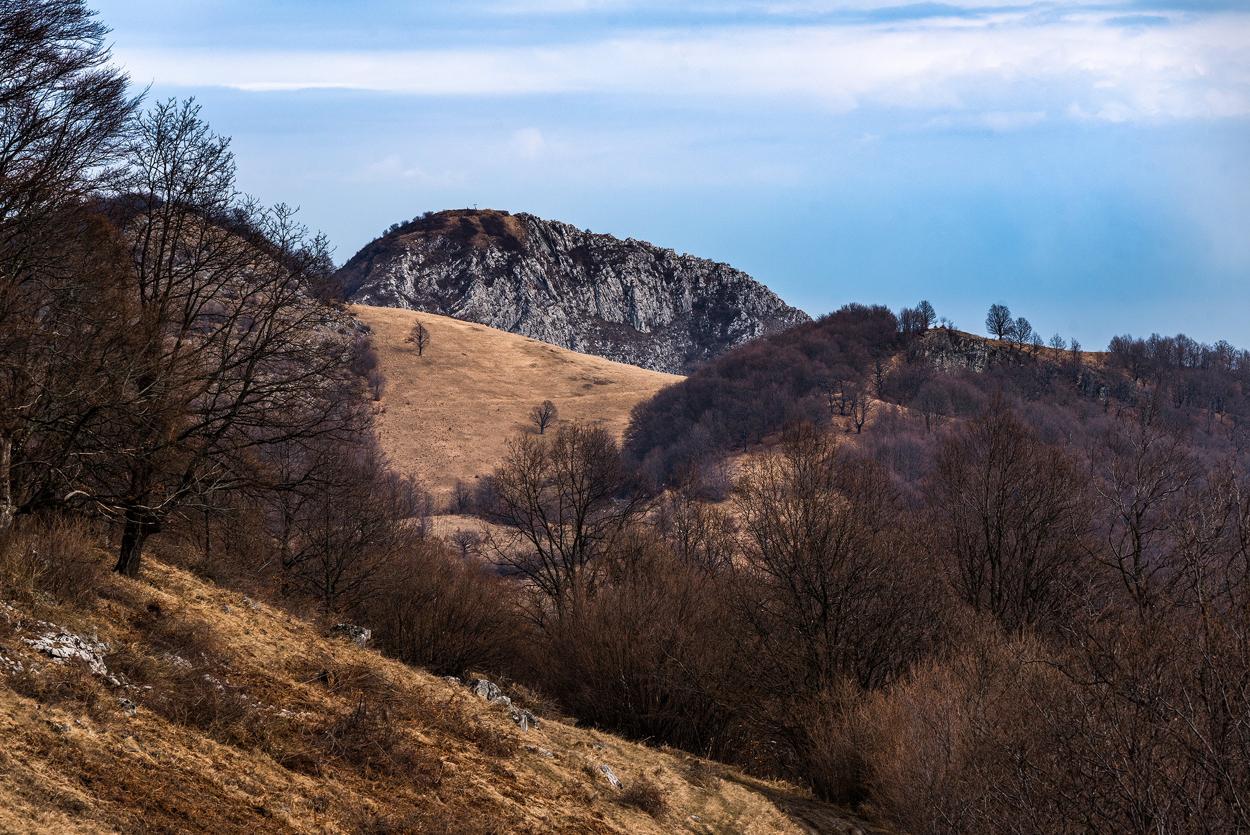 Munții Trascăului