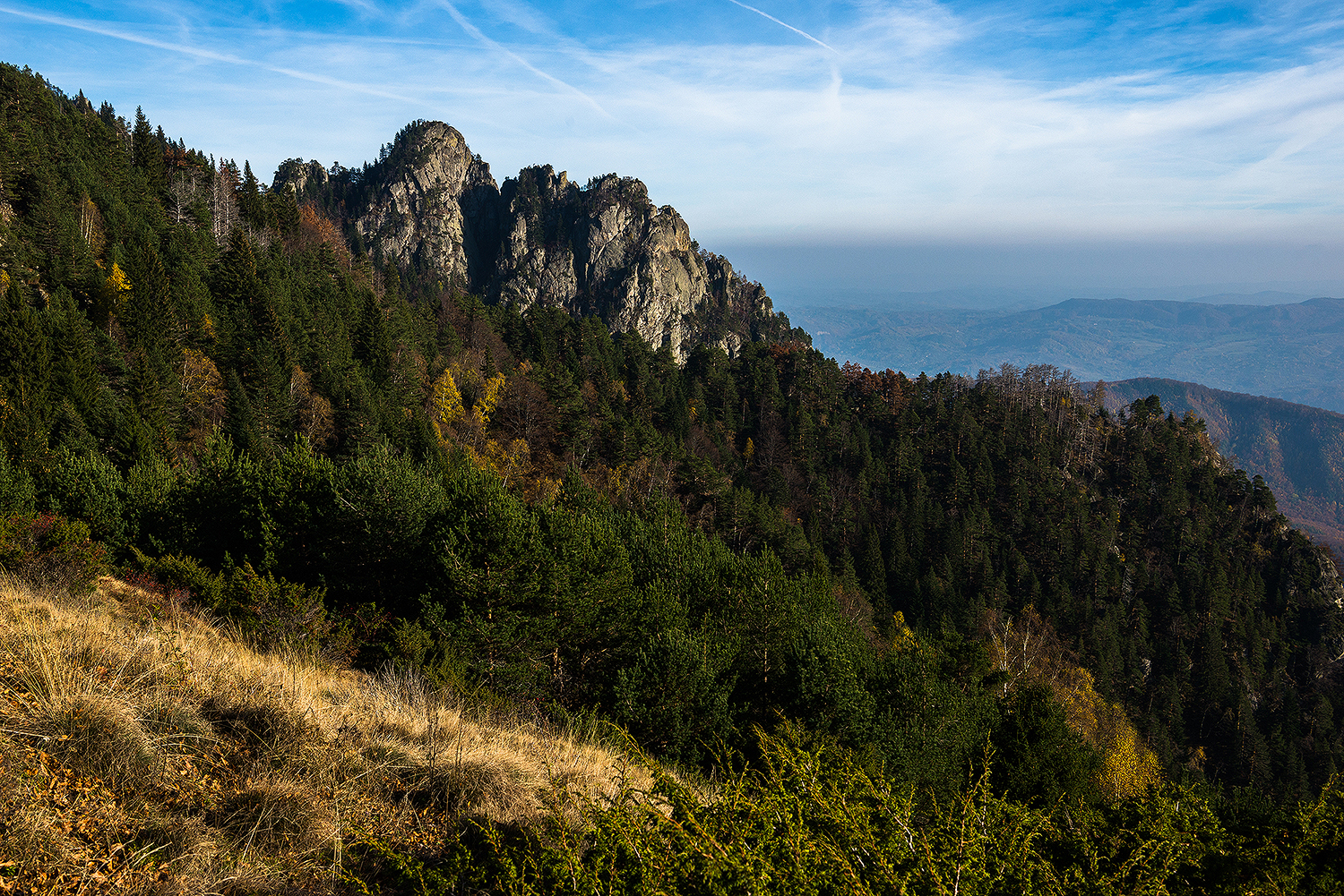   Munții Cozia