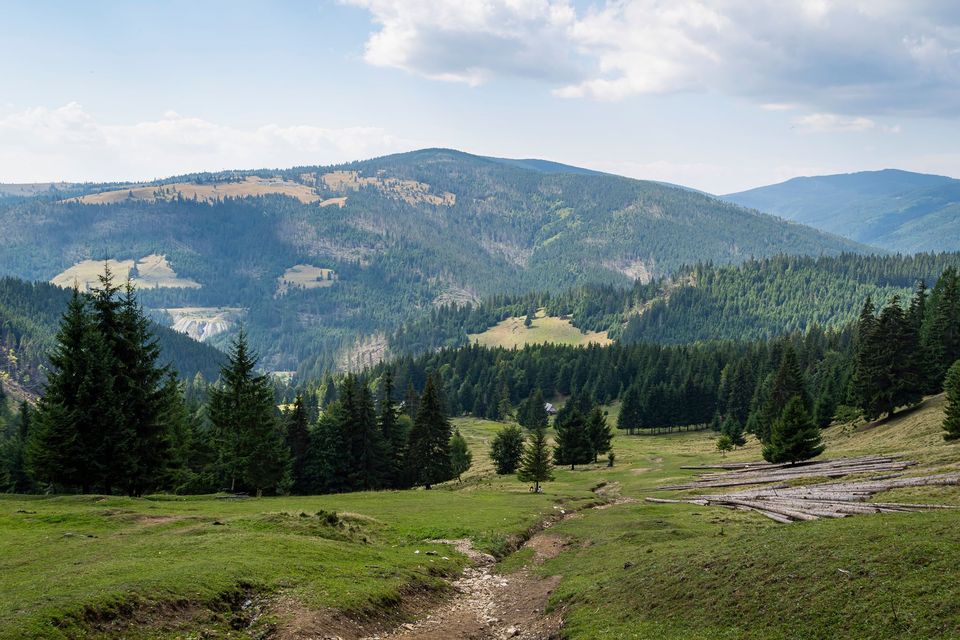 Vedere spre valea Oltului - Andrei Pahomi