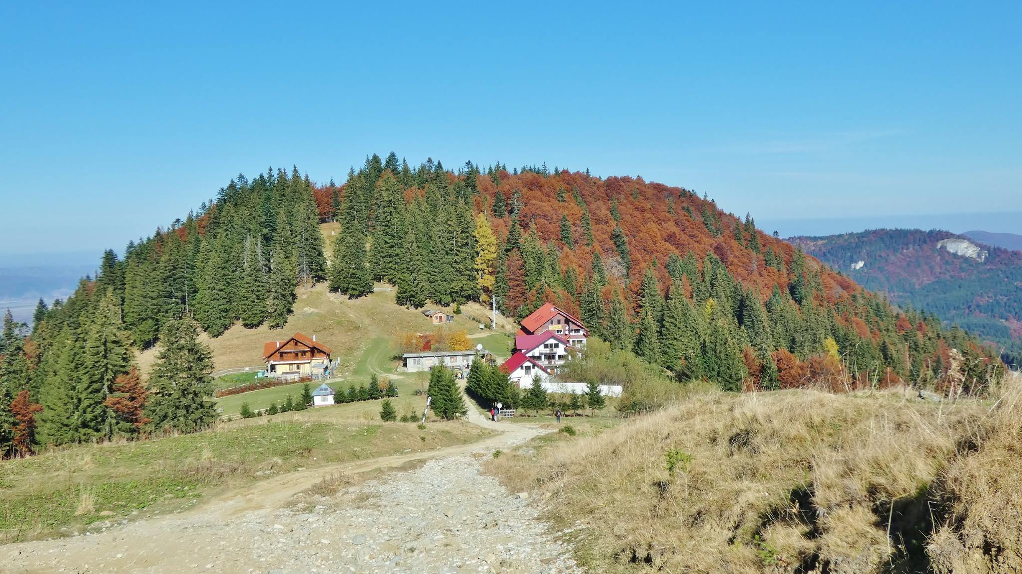  Cabana Diham - Viorel Ungureanu