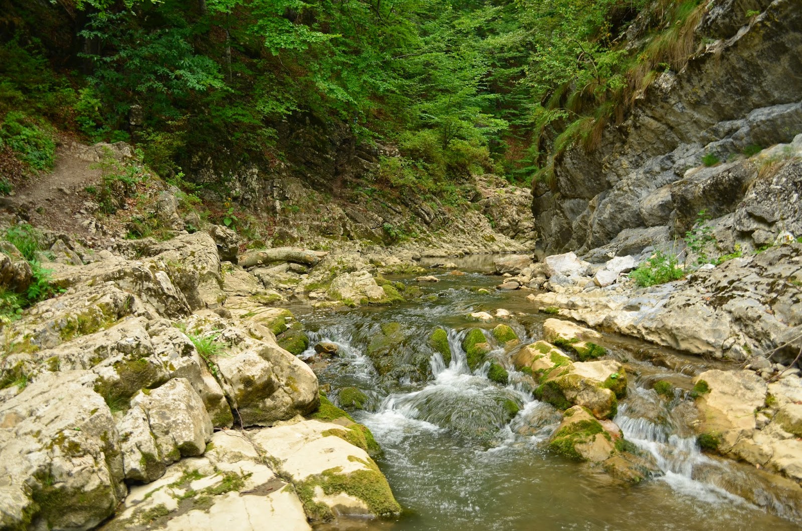  Cheile Rametului la debut - Amazing Romania