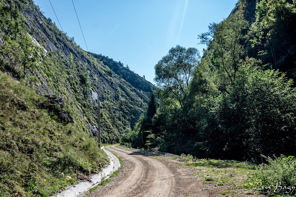  Cheile Runcului forestier - Levi Bagy Photography