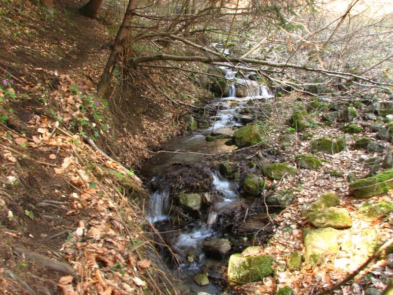  Cheile Silosului, intrare in poteca - Marius Chira