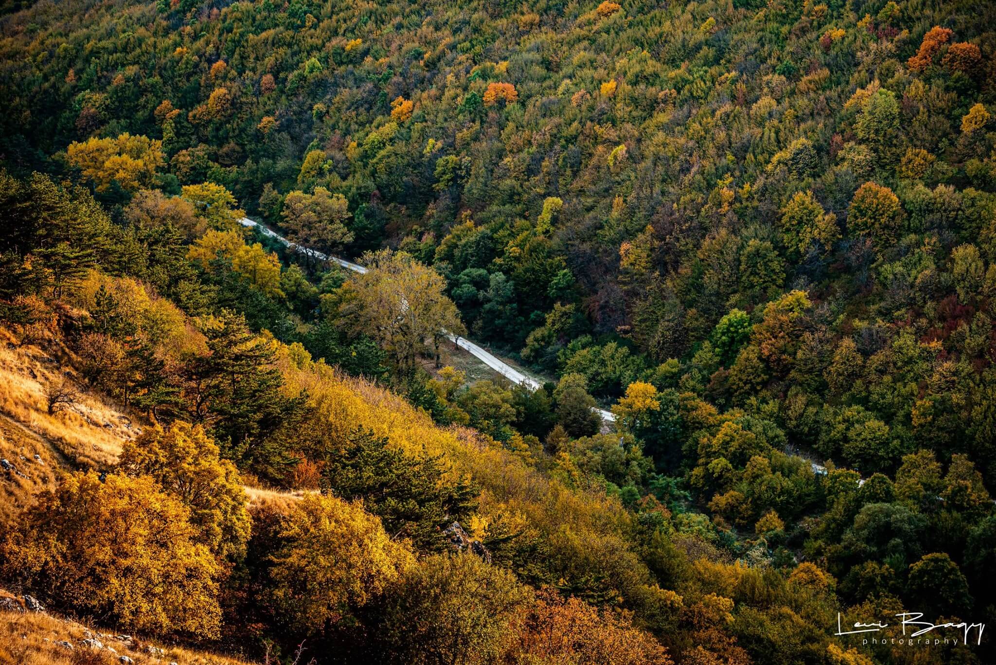  Cheile Turului (Tureni) - Levi Bagy Photography