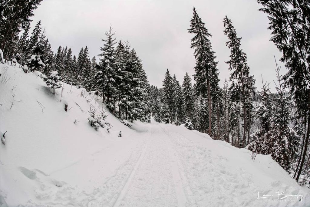  Circuit - Mt Baisorii -  Levi Bagy Photography