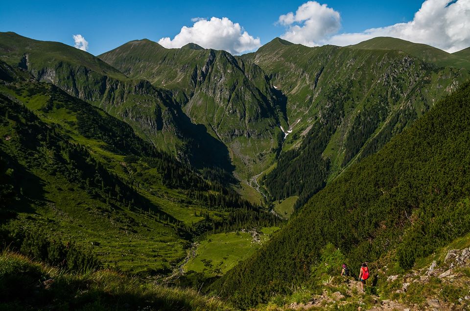  Coborarea abrupta prin jnepeni -  Morar Daniel