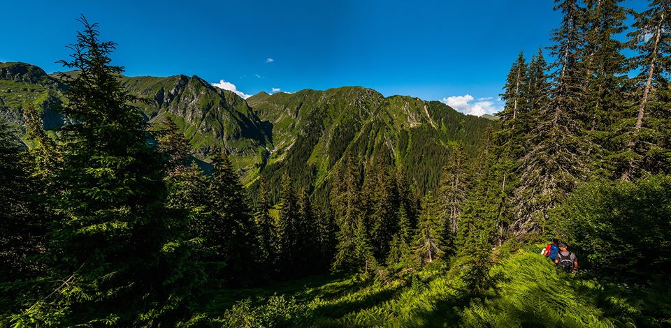  Coborarea abrupta spre Stana lui Burnei -  Morar Daniel