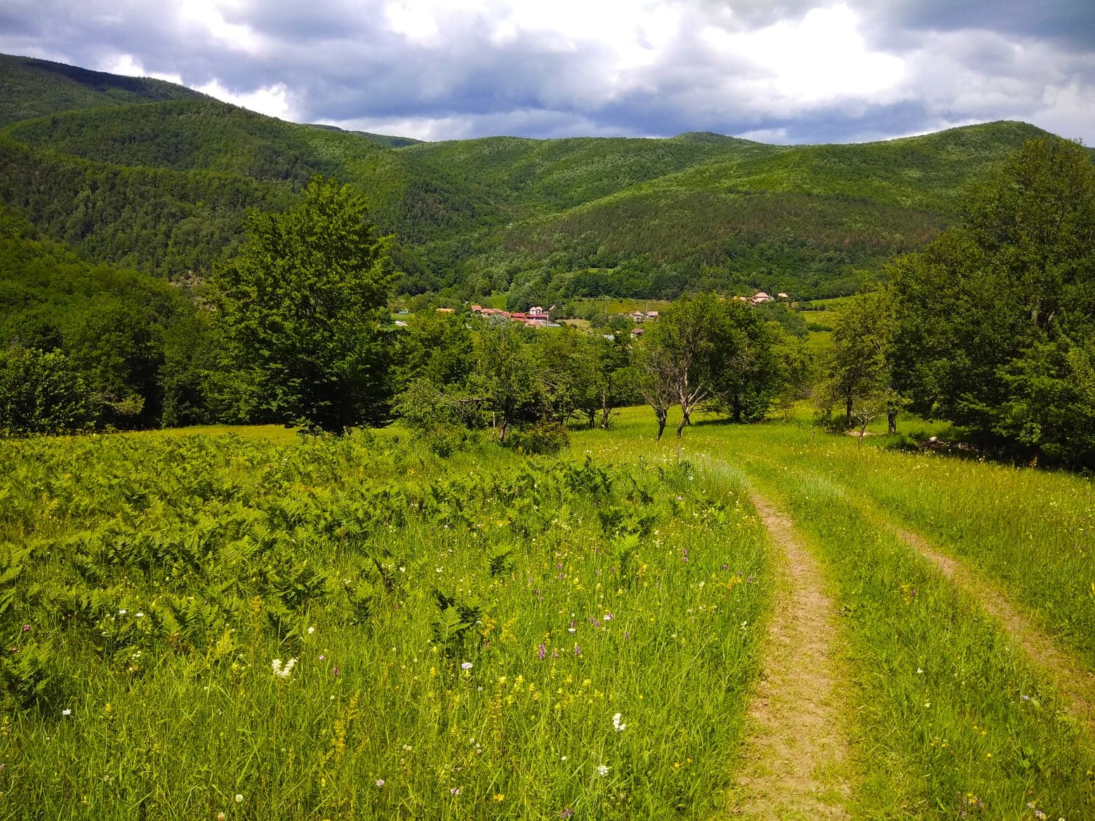  Coborarea spre Poiana Galzii - Manu Muntomanu