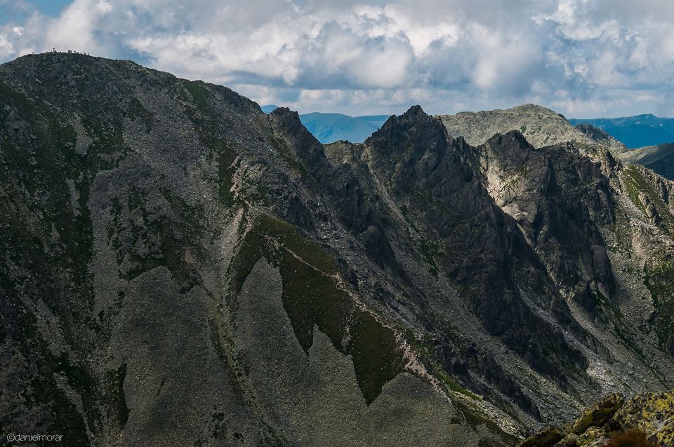  Colții Pelegii  - Morar Daniel