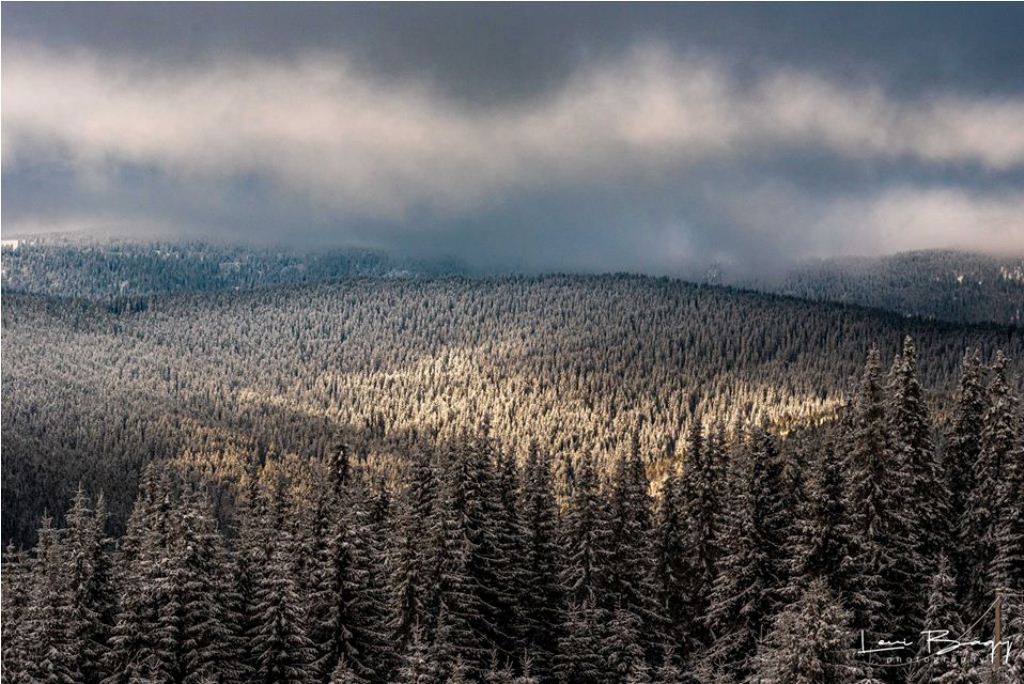 Muntele Baisorii - Levi Bagy Photography