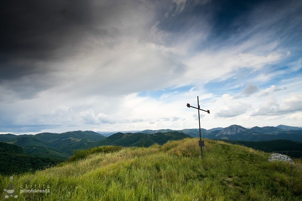  Crucea de pe Piatra Craivii - Cârtița Plimbăreață