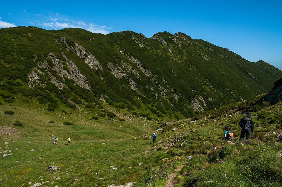  Curmatura Pojarnei spre Valea Zbuciumata -  Morar Daniel.jpg