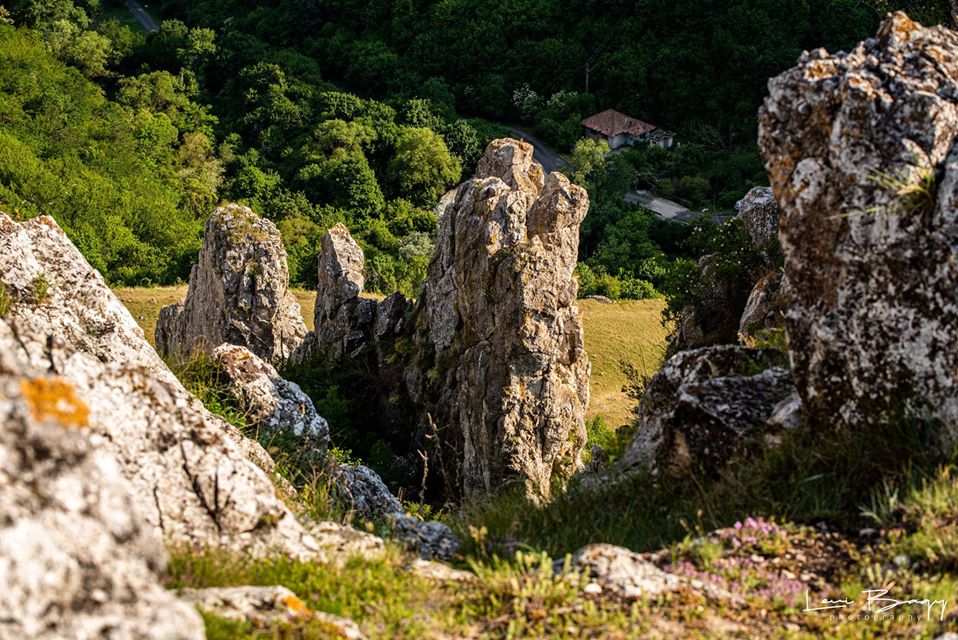  Detaliu din Cheile Tureni - Levi Bagy Photography