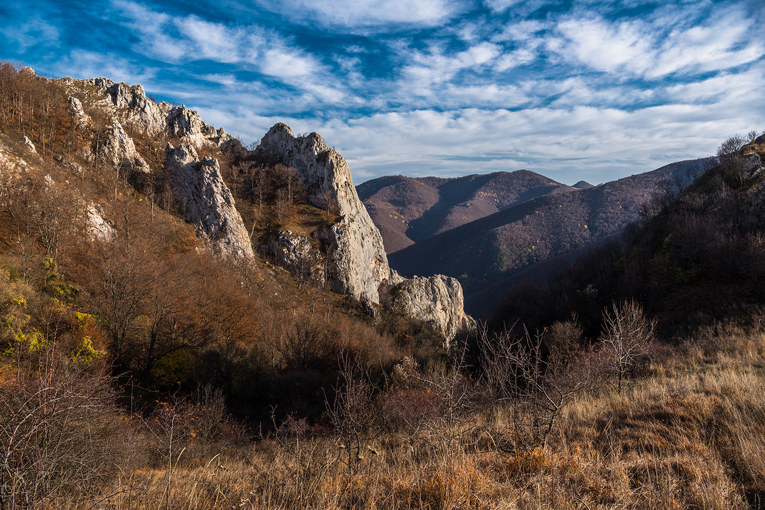 Munții Trascăului