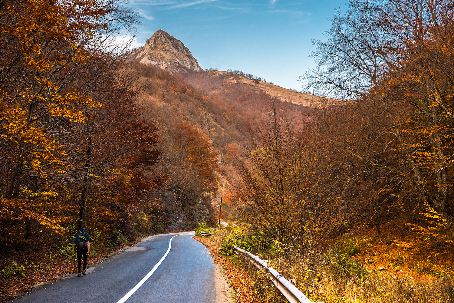 Munții Trascăului