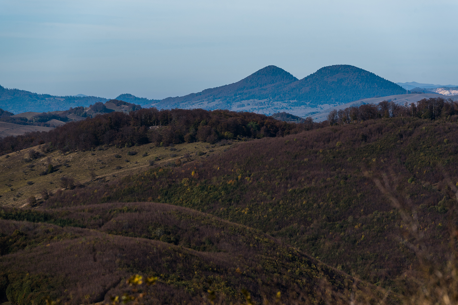 Munții Trascău