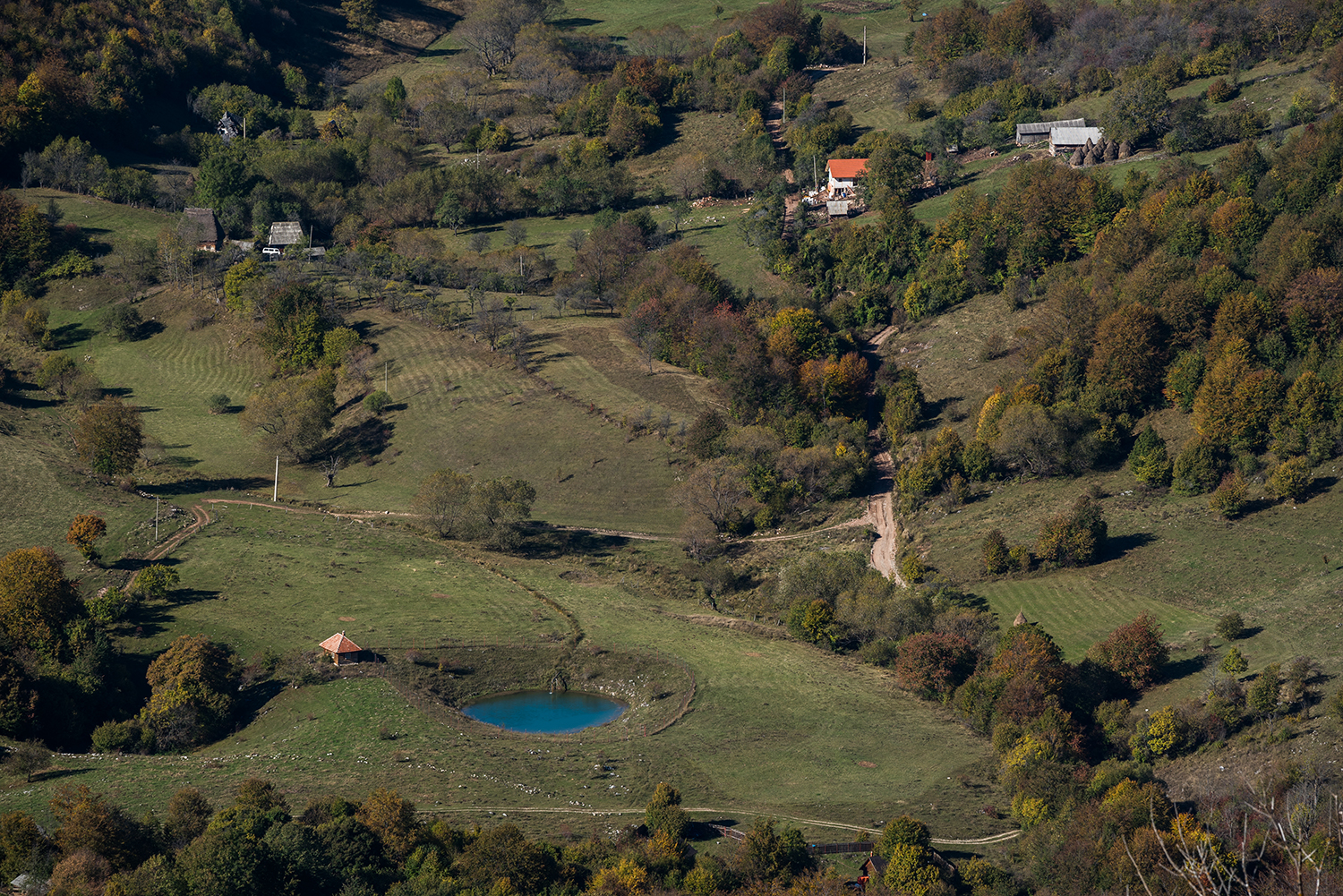 Munții Trascău