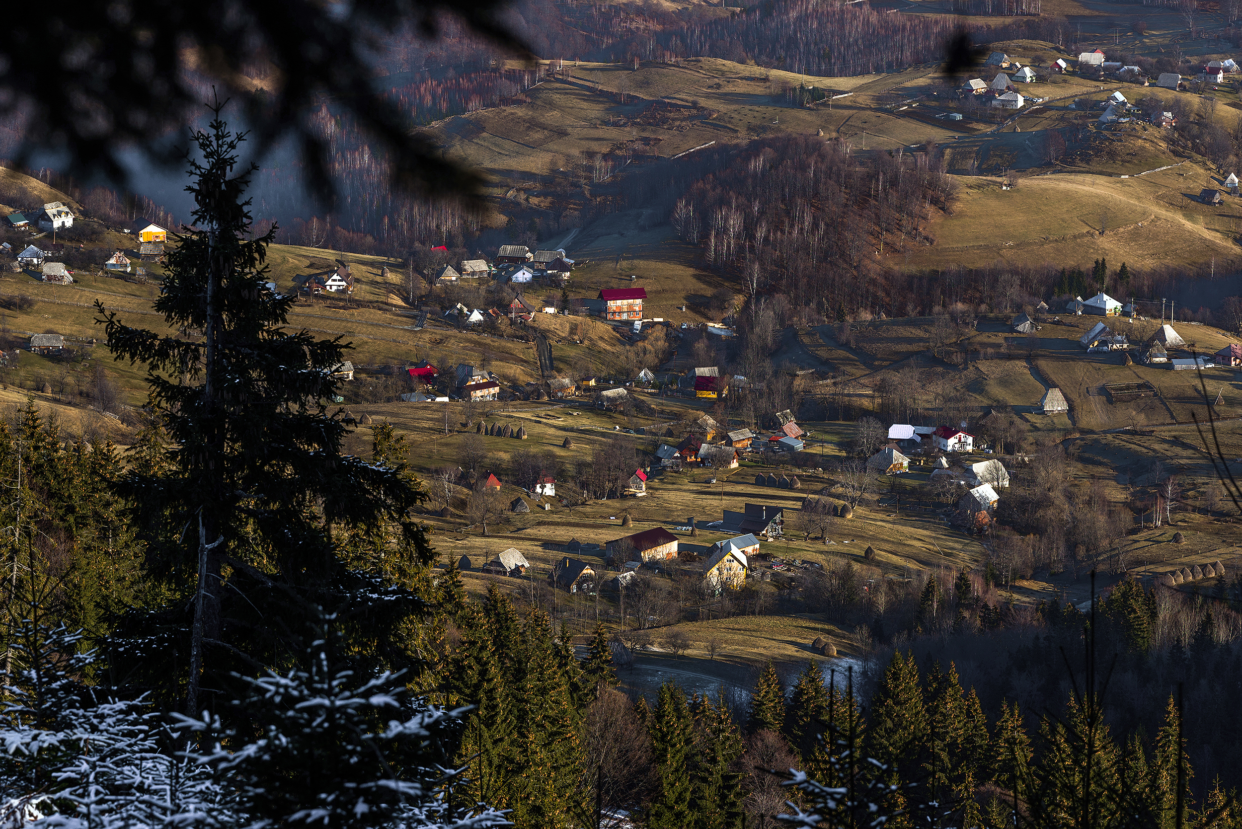 Munții Vlădeasa