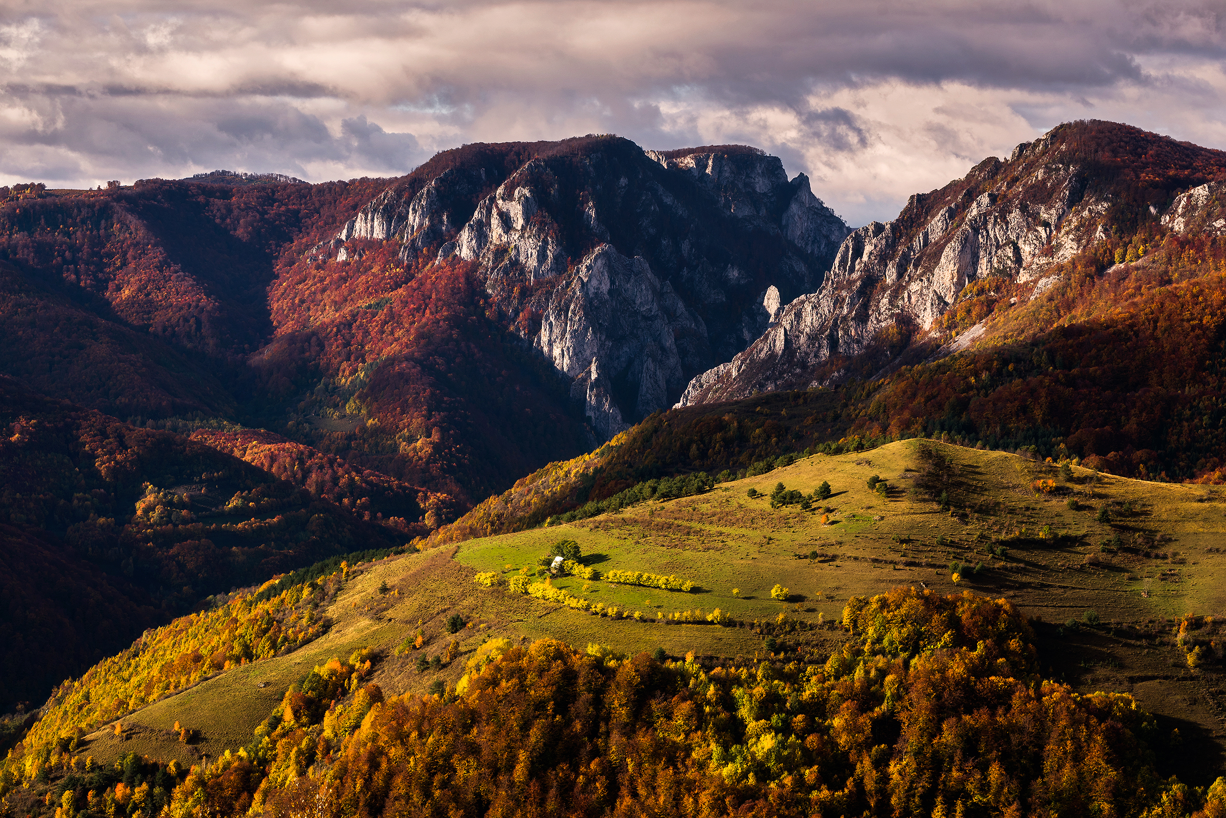  Munții Trascăului