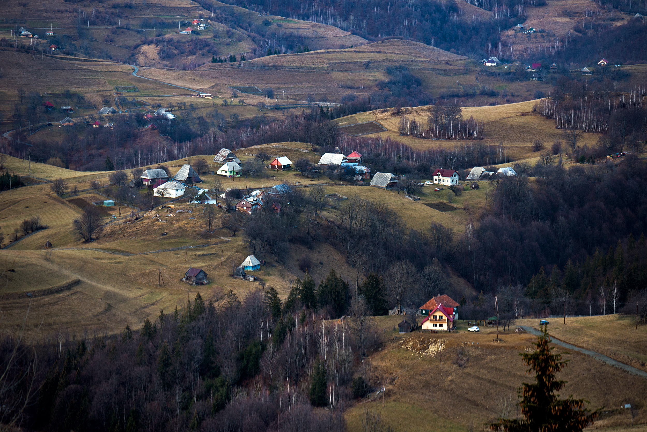 Munții Vlădeasa