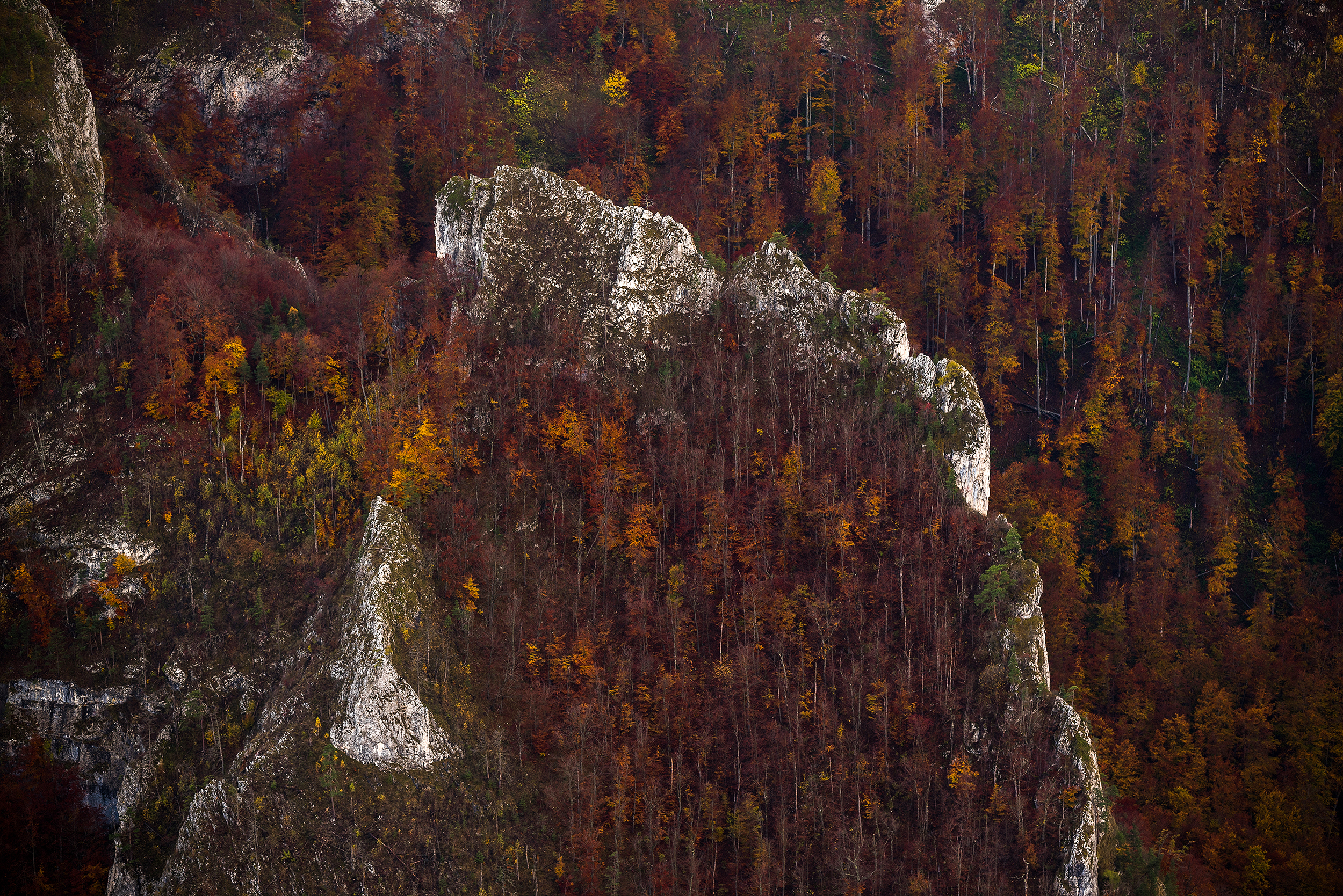  Cheia Râmețului