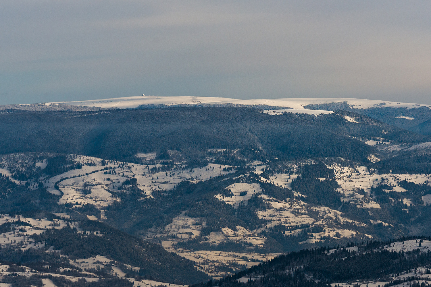 Munții Bihor