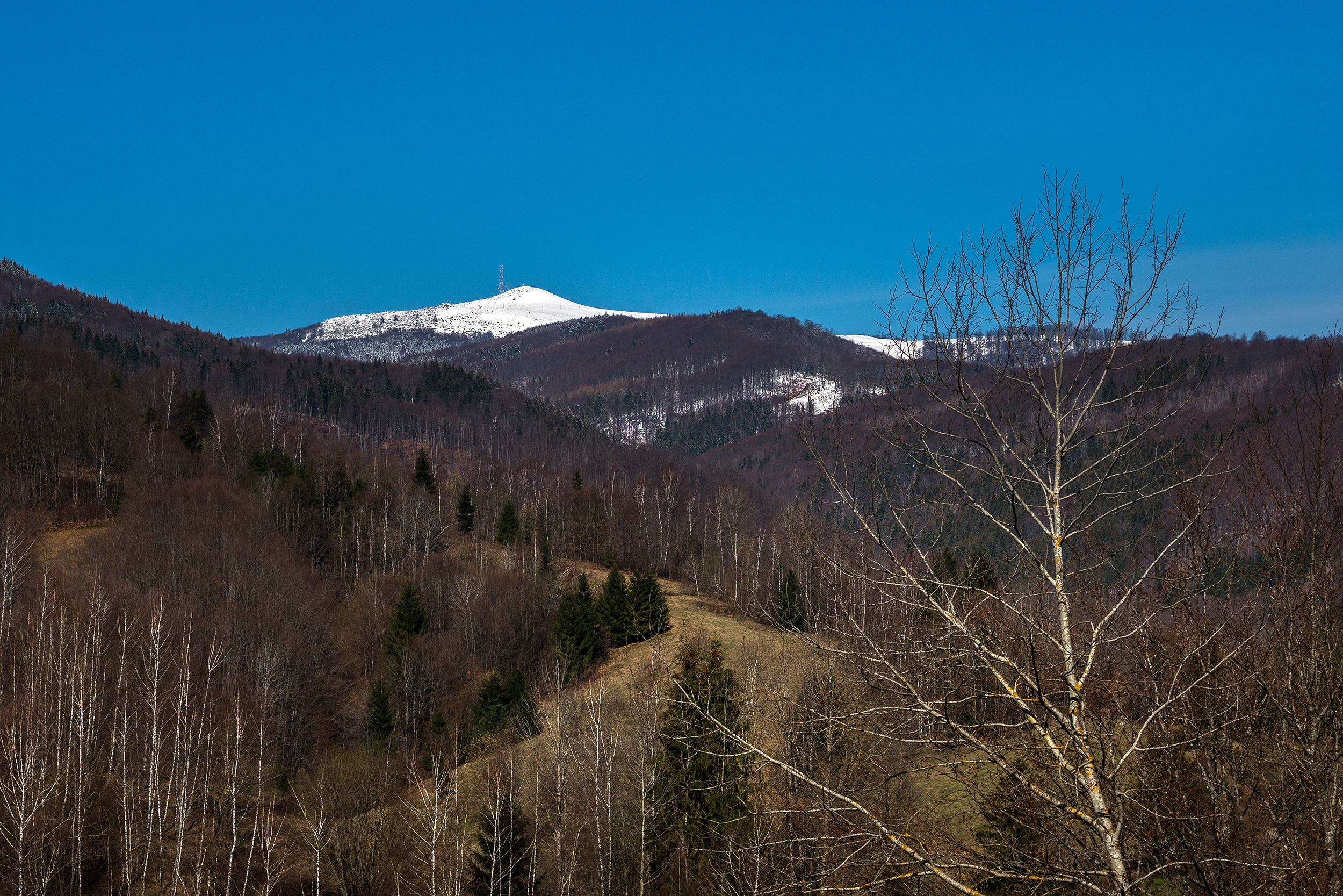 Muntele Găina