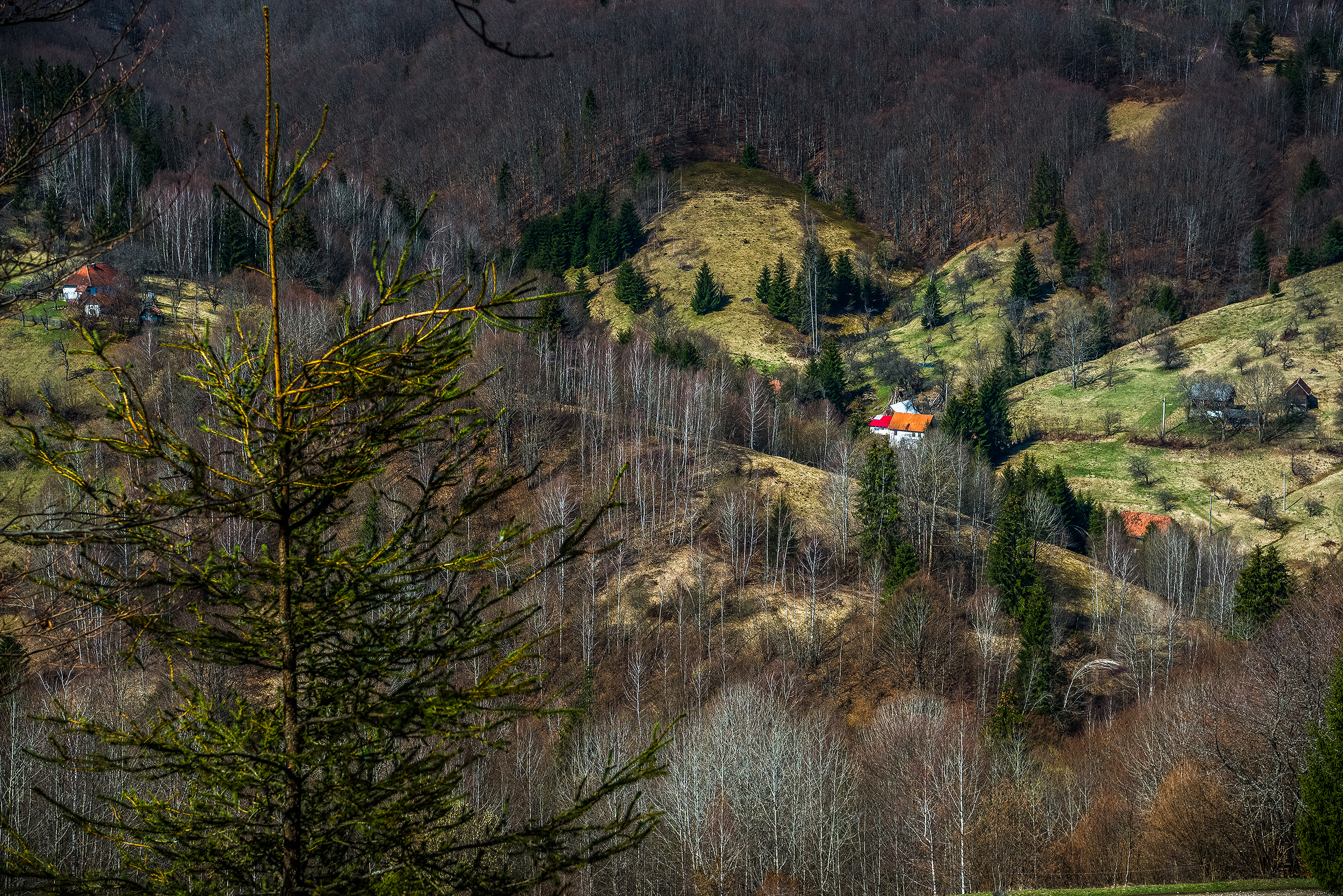 Muntele Găina