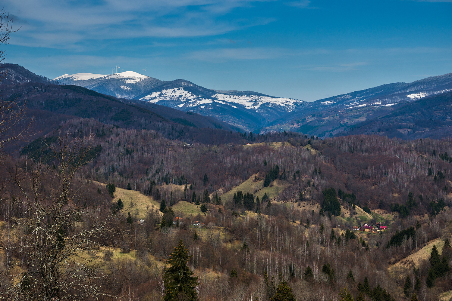 Munții Bihor