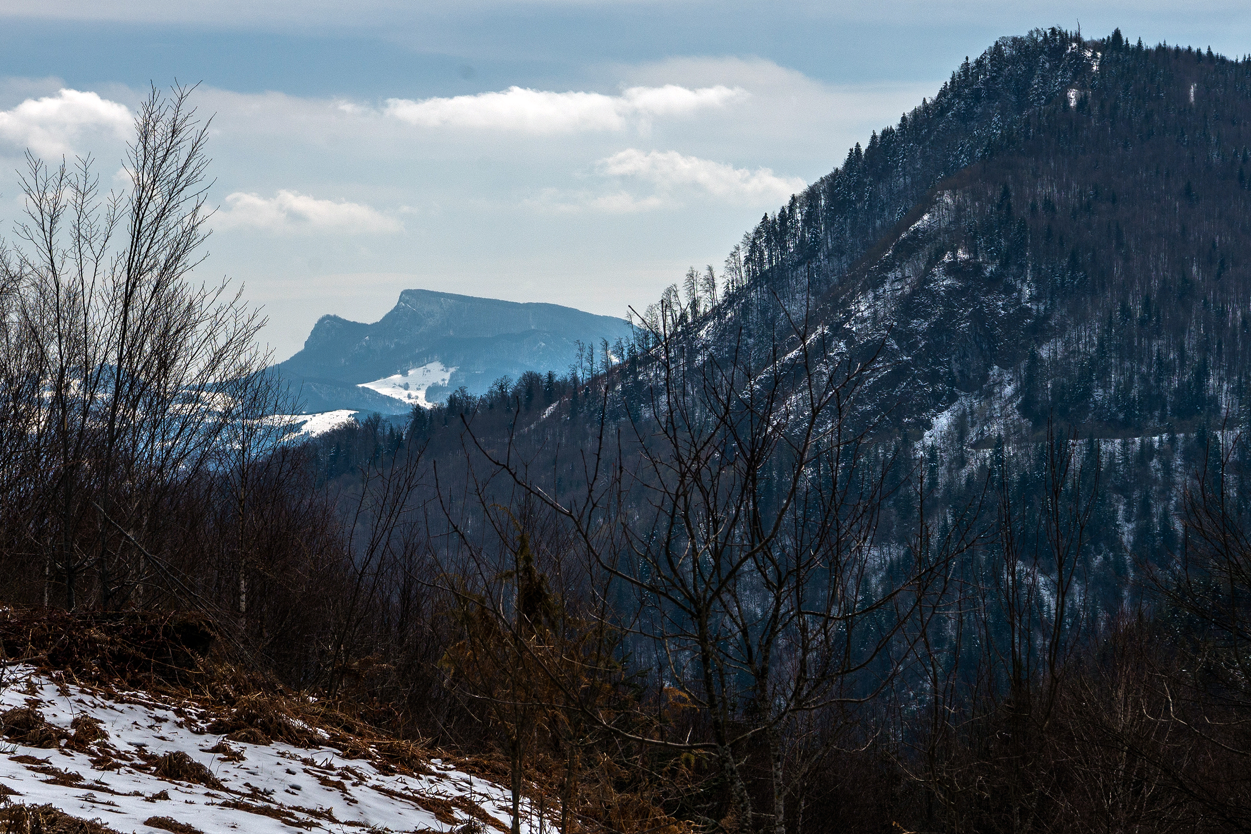 Muntele Găina